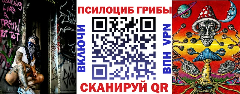 закладки  Заречный  Галлюциногенные грибы Cubensis 